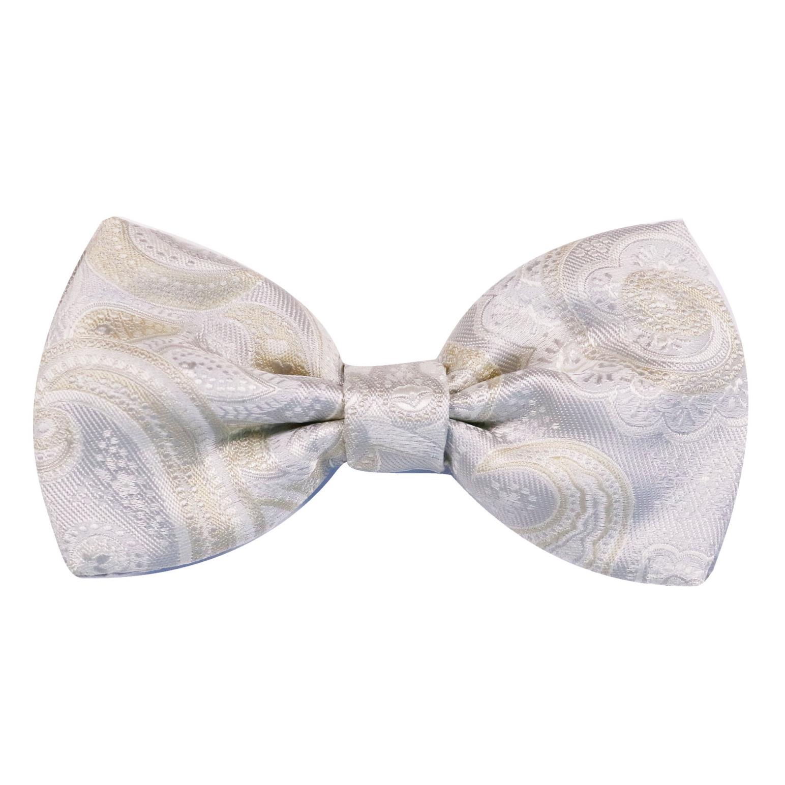 Fellini Luxe Paisley Bow Tie